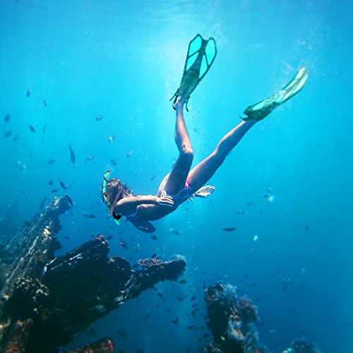 ZEEPORTE Anti-Fog Snorkel Mask for Adults with Panoramic View, Trek Fins, and Gear Bag
| ZEEPORTE Travel Size Snorkelin