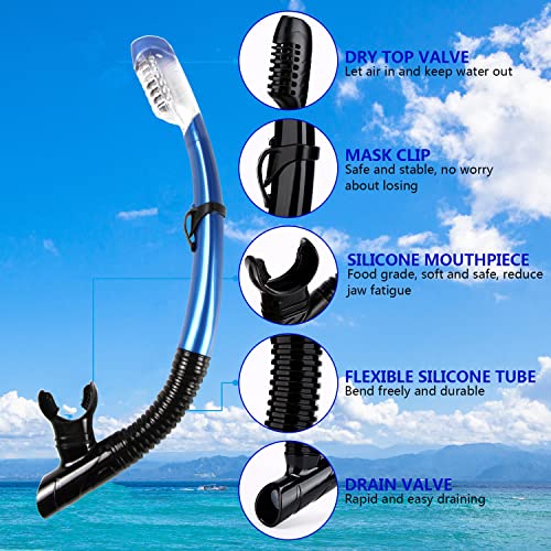 Dry Snorkel Easy Breath Diving Snorkel for Adult and Youth with Top Dry Valve and Food Grade Silicone Mouthpiece